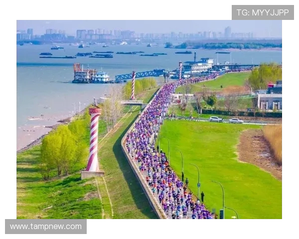 南京城市马拉松精彩回顾飞盘队实力展现引人瞩目