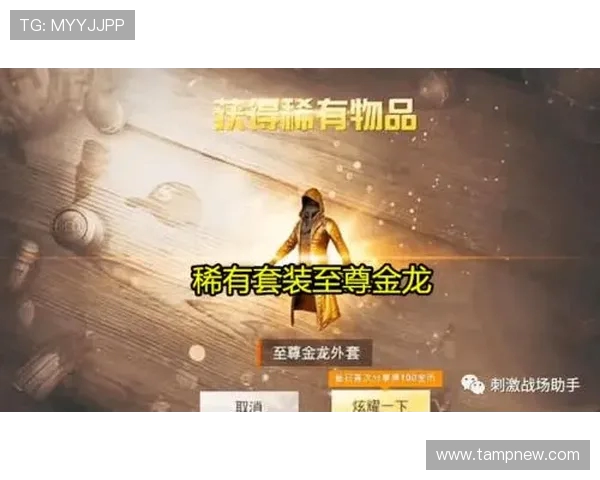 对话陈丽：回顾和平精英生涯中的成长与挑战