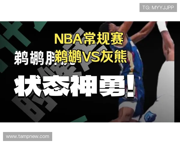 鹈鹕与灰熊精彩对决视频直播全程回放及赛后分析